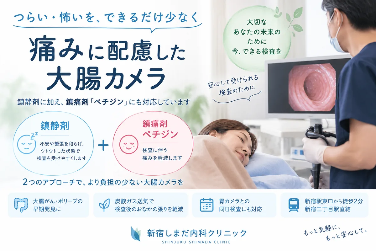 痛みに配慮した大腸カメラ 鎮静剤に加え鎮痛剤ペチジンにも対応 新宿しまだ内科クリニック