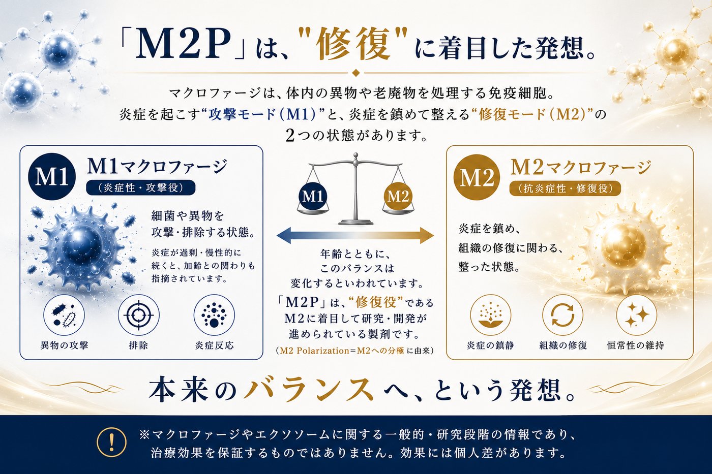 「M2P」は『修復』に着目した発想。マクロファージのM2に着目した名称。マクロファージには炎症性・攻撃役のM1と、抗炎症性・修復役のM2の2つの状態がある。「M2P」はM2 Polarization（M2への分極）に由来し、M2への切り替えに着目して研究・開発が進められている製剤。